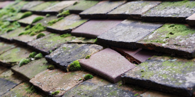 Altrincham roof repair costs